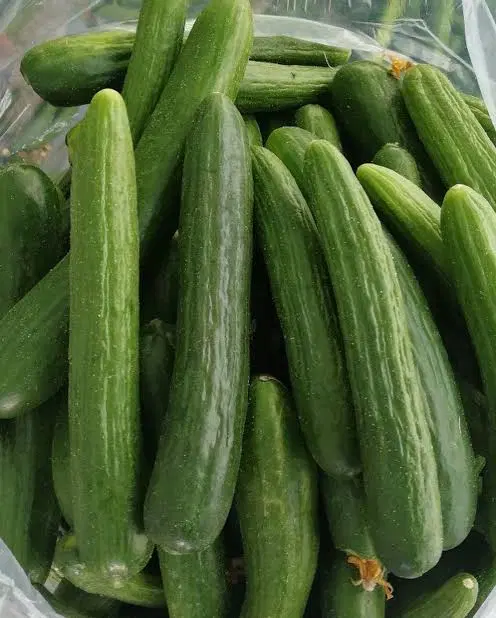 خیار محلی|خوردنی و آشامیدنی|همدان, |دیوار