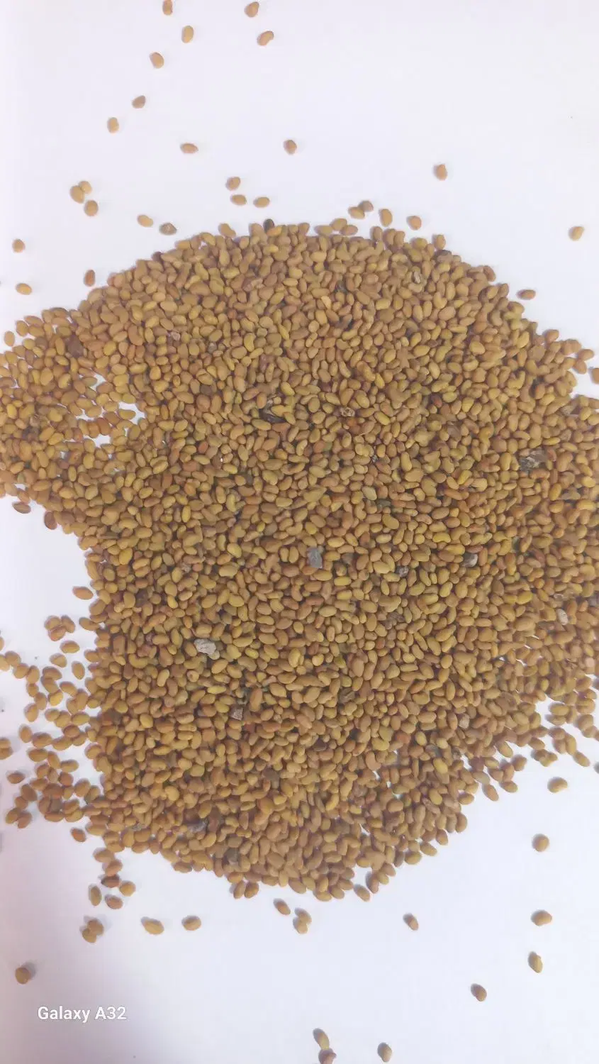 تیم یونجه|خدمات باغبانی و درختکاری|بهبهان, |دیوار
