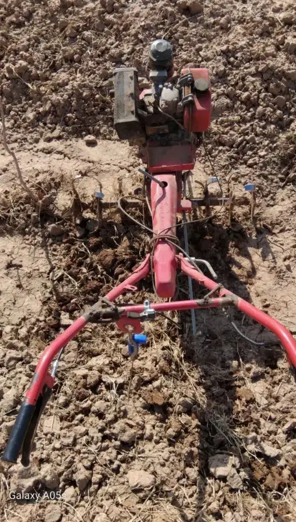 تیلر|خدمات باغبانی و درختکاری|آبکوه, |دیوار