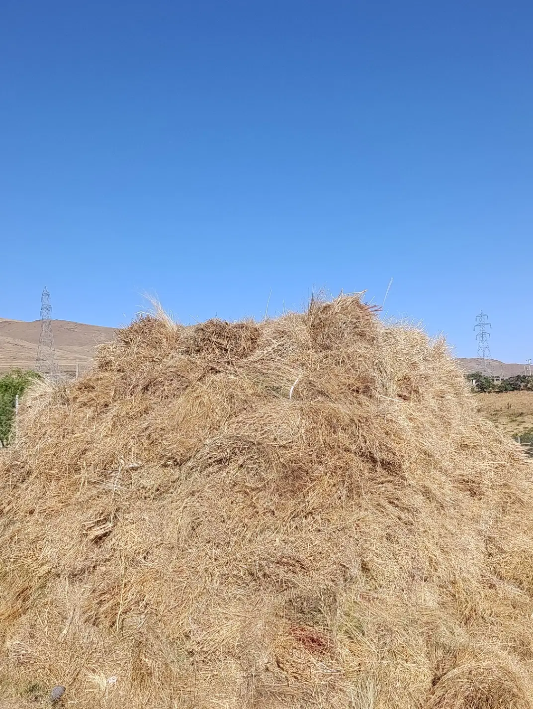 علف|لوازم جانبی حیوانات|زنجان, |دیوار