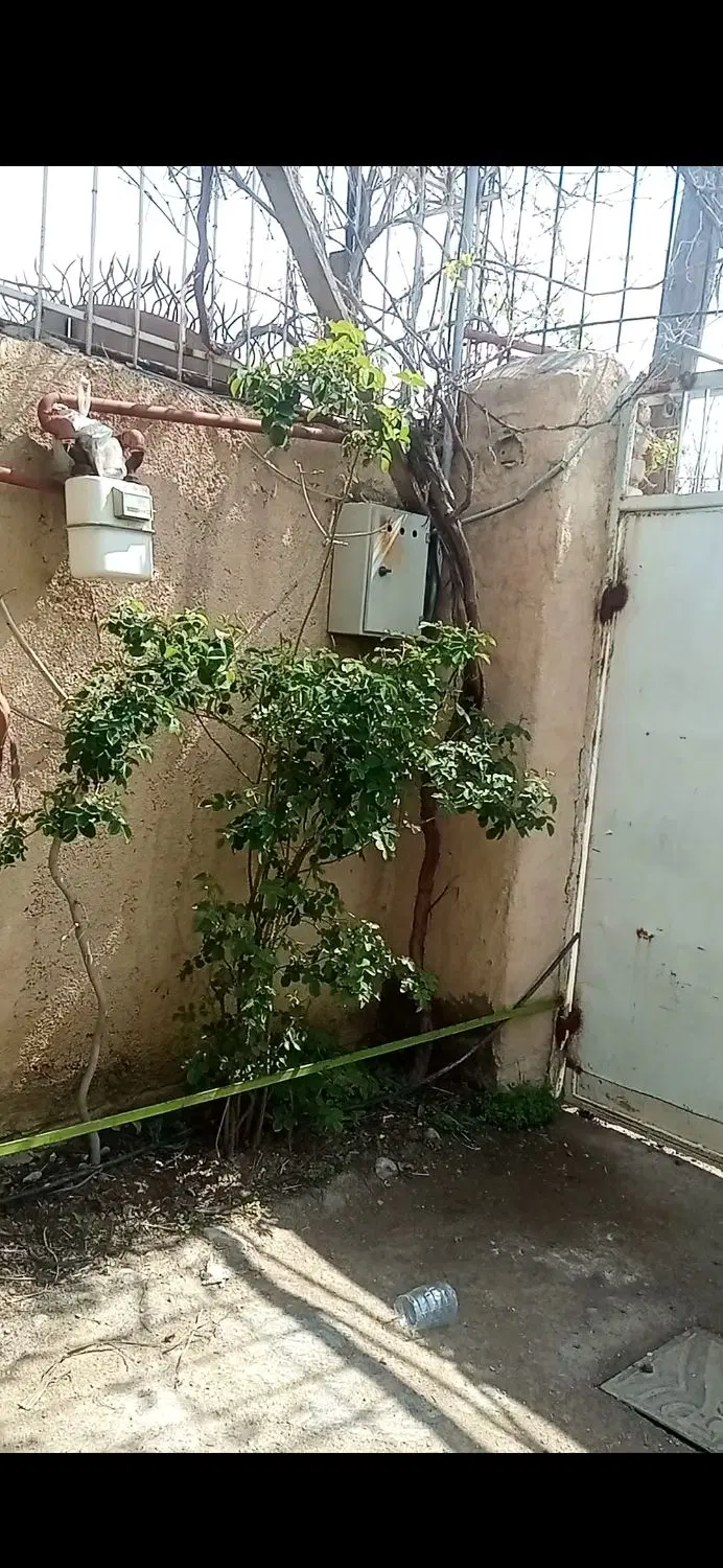 تصویر 11