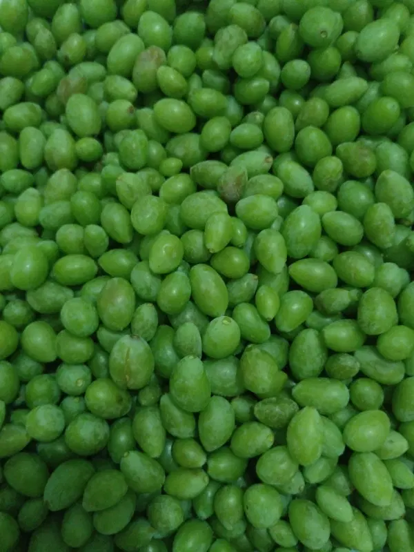غوره|خوردنی و آشامیدنی|بیجار, |دیوار