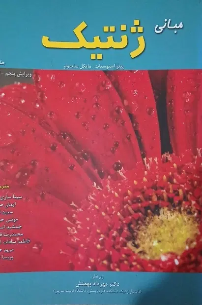 کتاب|کتاب و مجله ادبی|گرگان, |دیوار