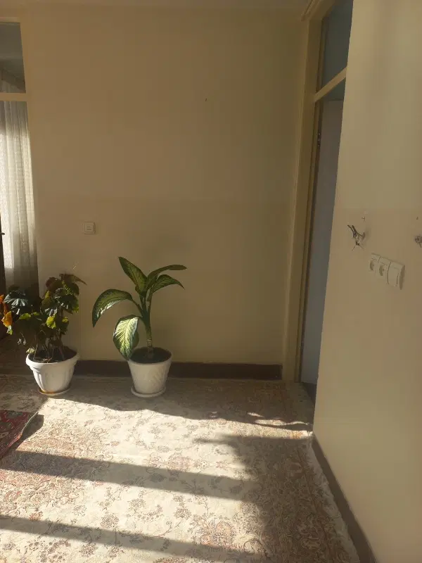 سویت اجاره ای در بهترین مکان با ویوی عالی|اجارهٔ کوتاه‌مدت آپارتمان و سوئیت|جوانرود, |دیوار