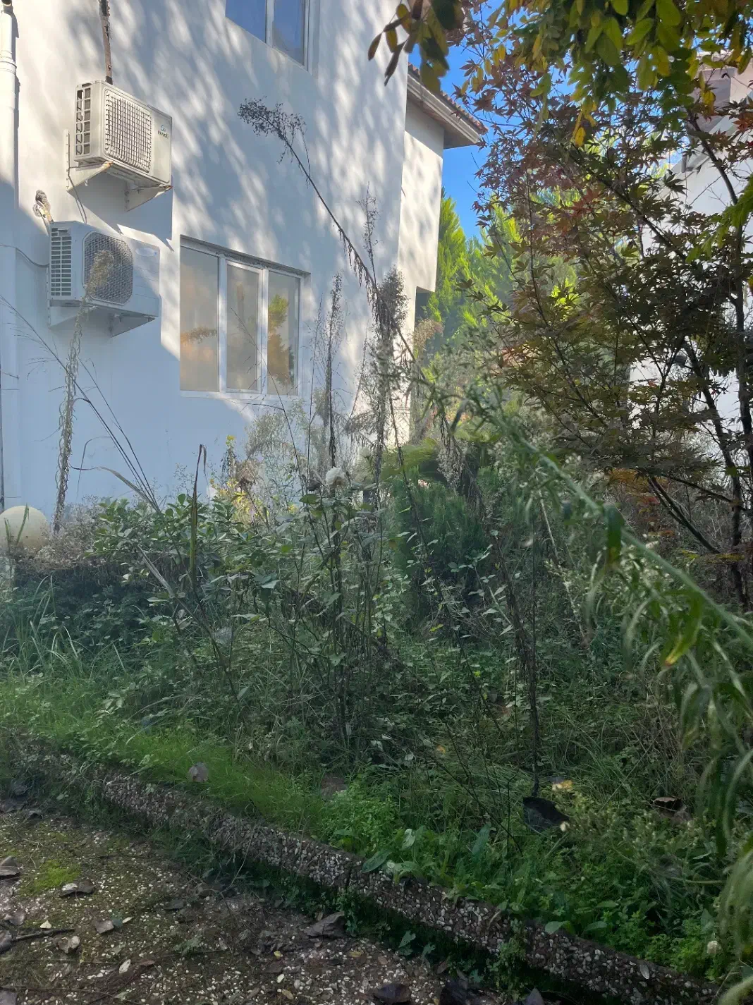 سرایدار|استخدام سرایداری و نظافت|تهران, هروی|دیوار