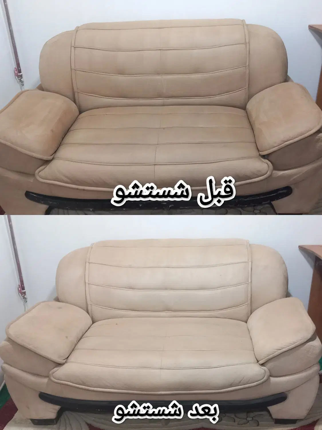 مبلشویی|خدمات نظافت|رشت, کاکتوس|دیوار