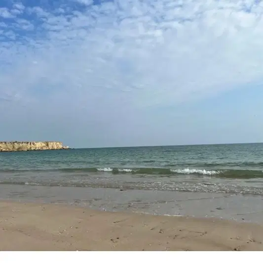 تصویر اصلی