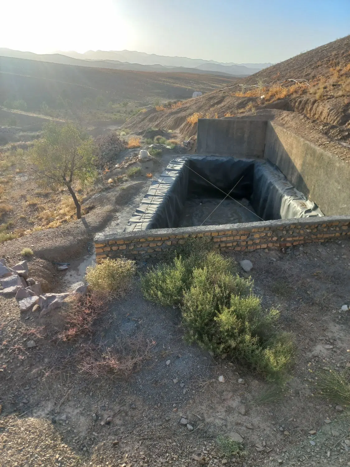 تصویر 11