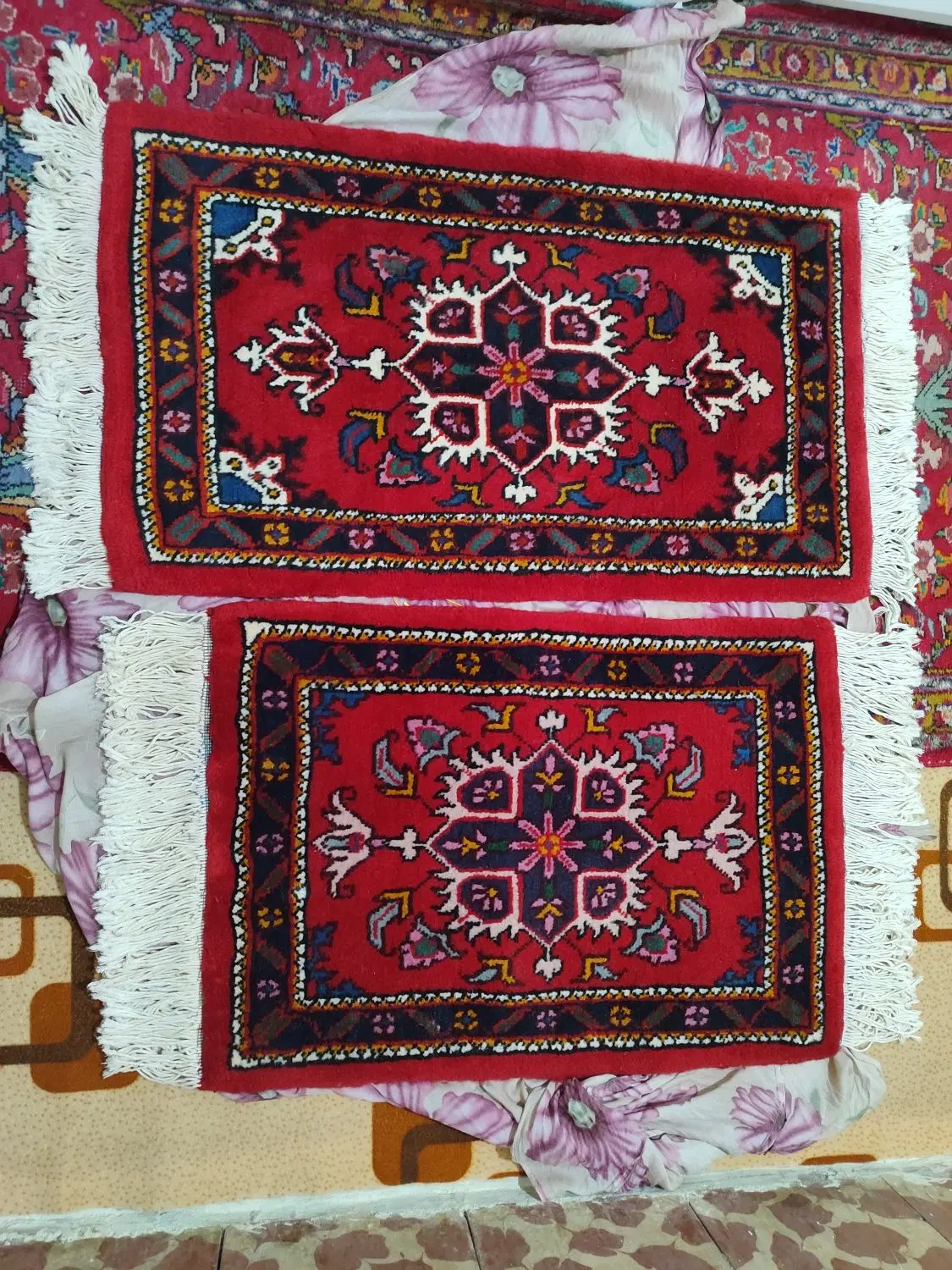 پادری (یک جفت)|پادری|تبریز, |دیوار