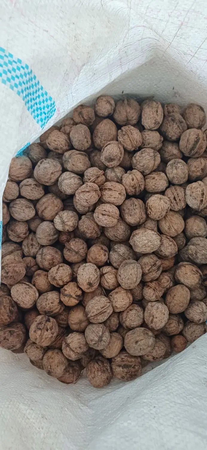 گردو|خوردنی و آشامیدنی|بروجرد, |دیوار
