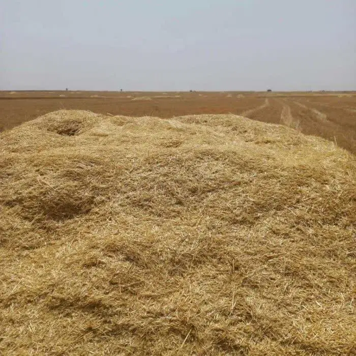 کاه|عمده‌فروشی|سروستان, |دیوار