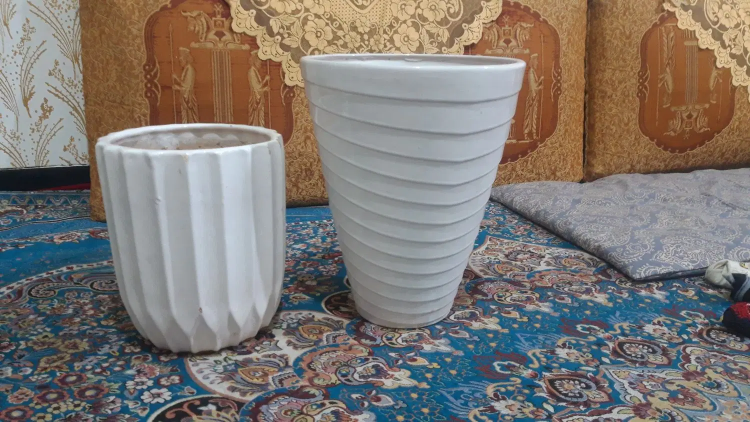 گلدون|گل و گیاه طبیعی|زاهدان, |دیوار