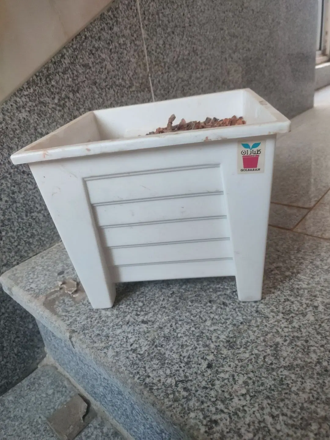 گلدان|گل و گیاه طبیعی|همدان, |دیوار