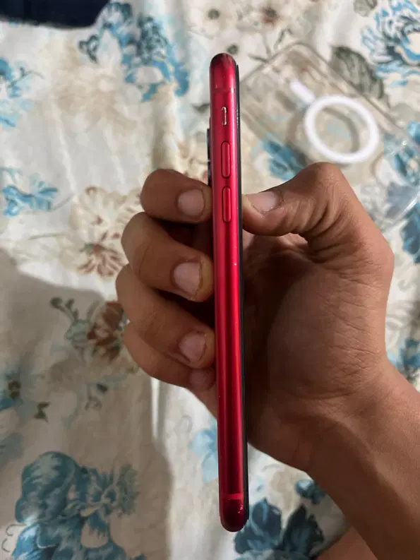 iPhone 11normal|موبایل|کرج, مطهری|دیوار