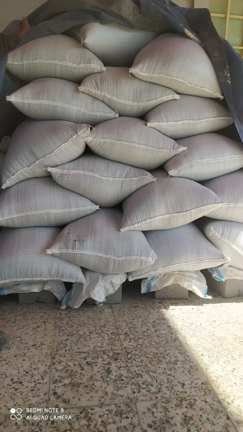 ماش ارتشی|خوردنی و آشامیدنی|گتوند, |دیوار