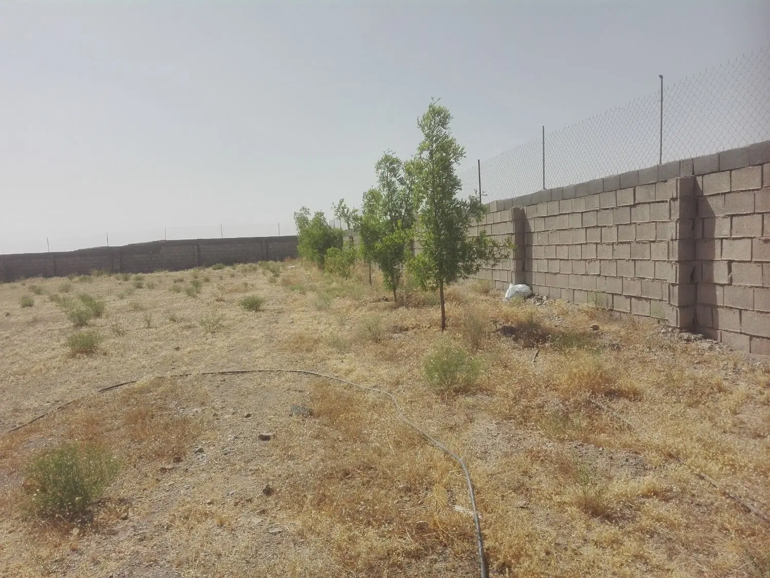 تصویر 9