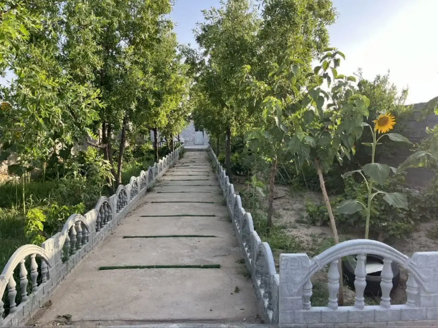 تصویر 10