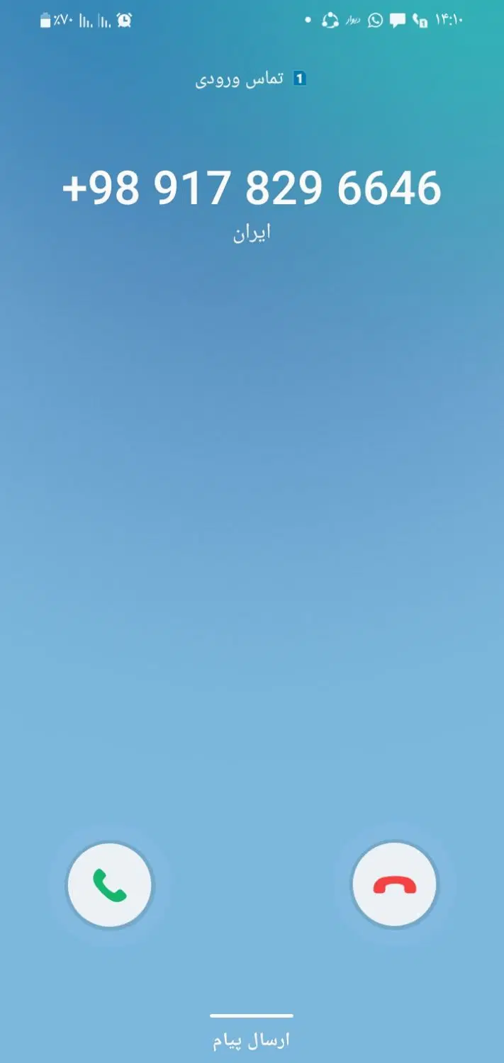 گل محمدی|گل و گیاه طبیعی|شراء, |دیوار