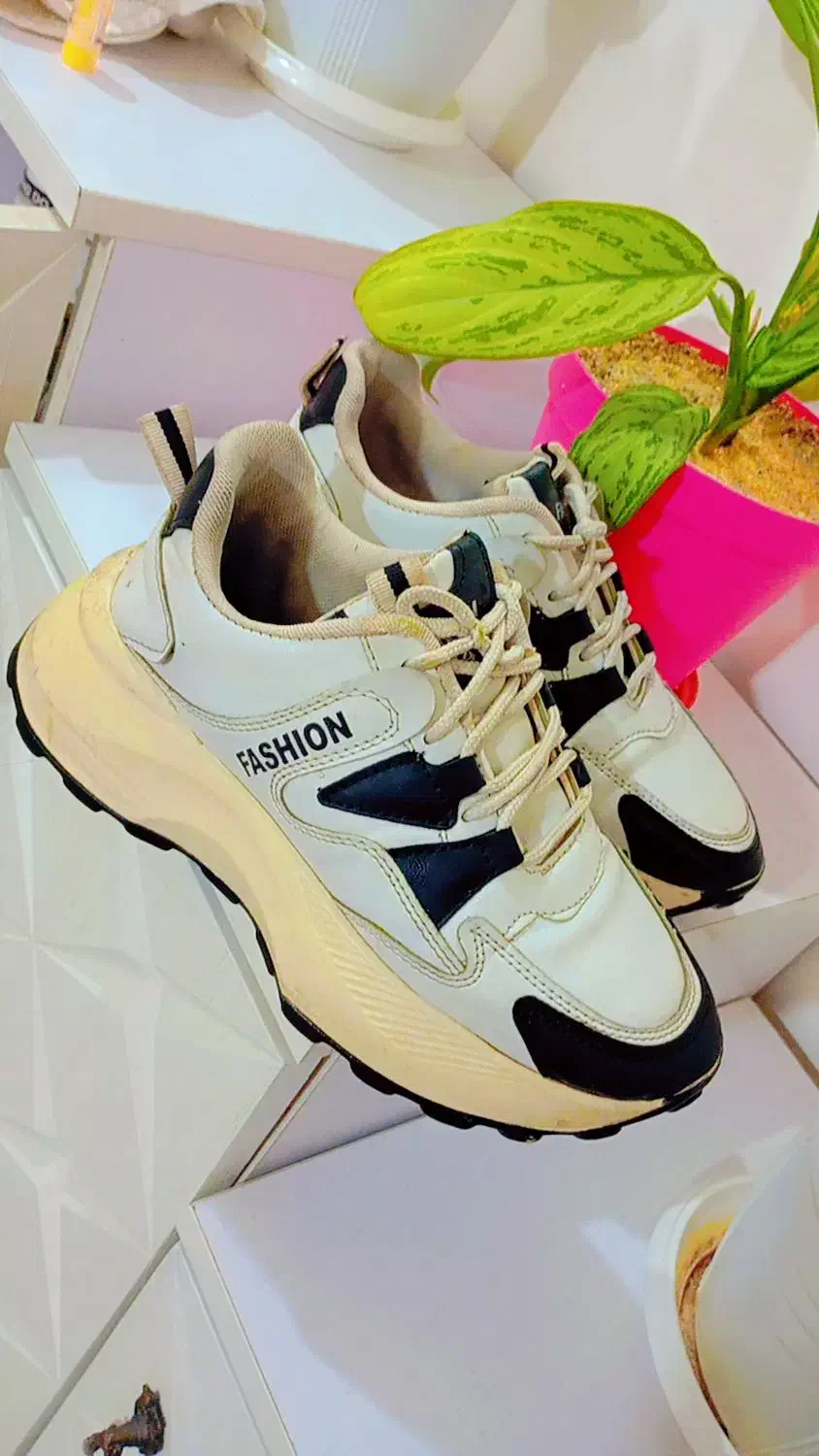 کفش|کیف، کفش، کمربند|پیشوا, |دیوار