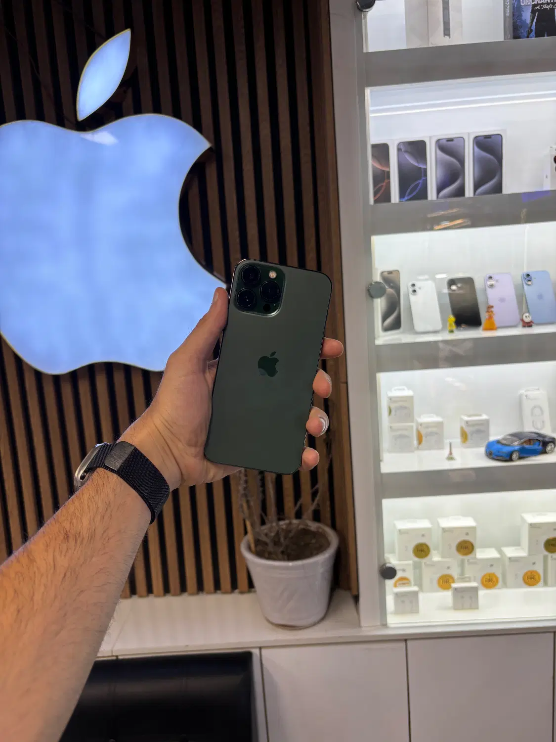 iPhone 13 Pro Max|موبایل|تهران, شیخ هادی|دیوار