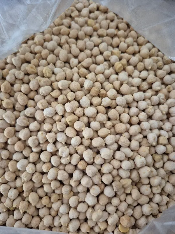 حبوبات|خوردنی و آشامیدنی|شیراز, شهرک مدرس|دیوار