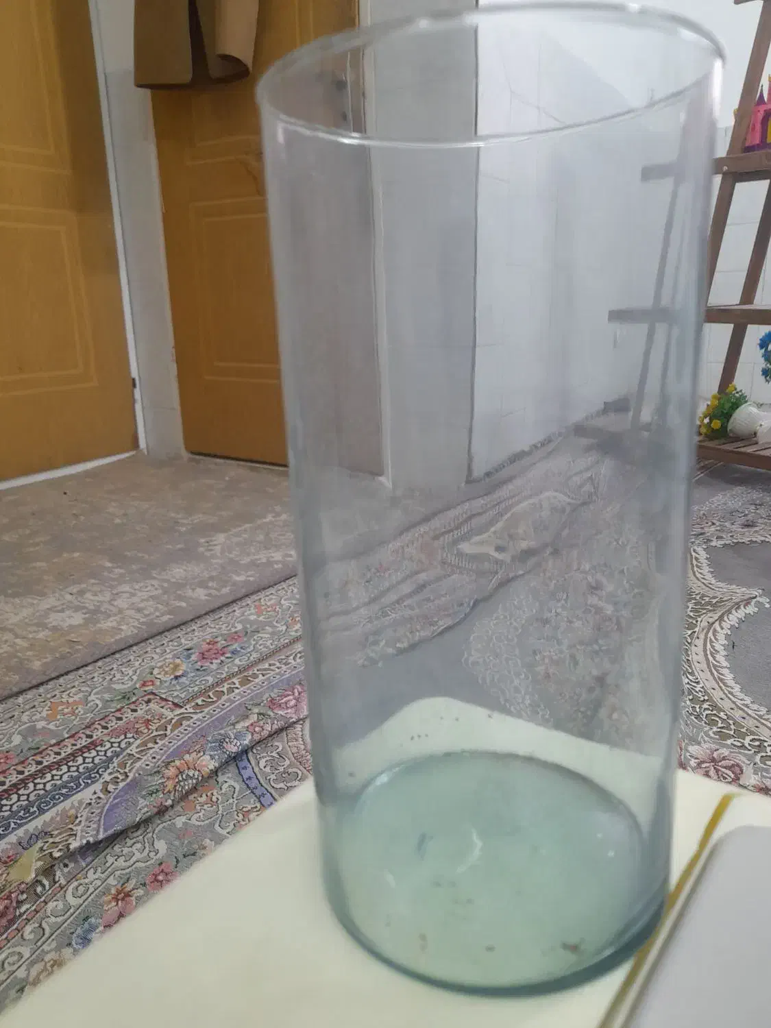 تنگ ماهی|لوازم جانبی حیوانات|قم, یزدانشهر|دیوار