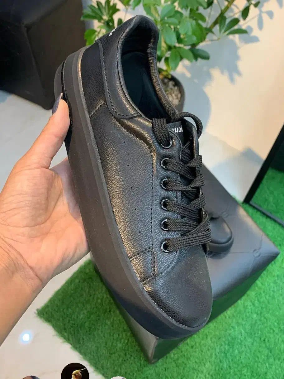 کیف|کیف، کفش، کمربند|بجنورد, |دیوار