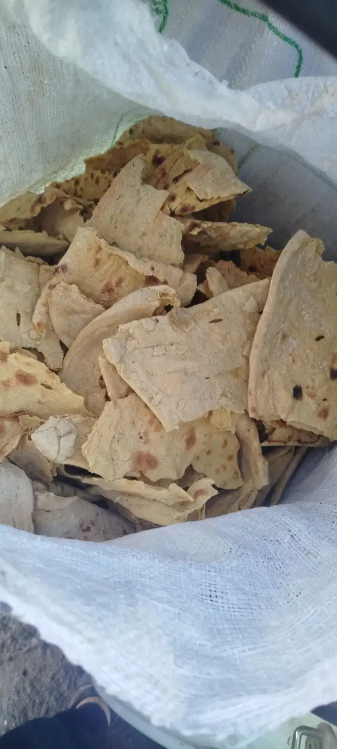 نان خشک|خوردنی و آشامیدنی|تربتحیدریه, بازار|دیوار