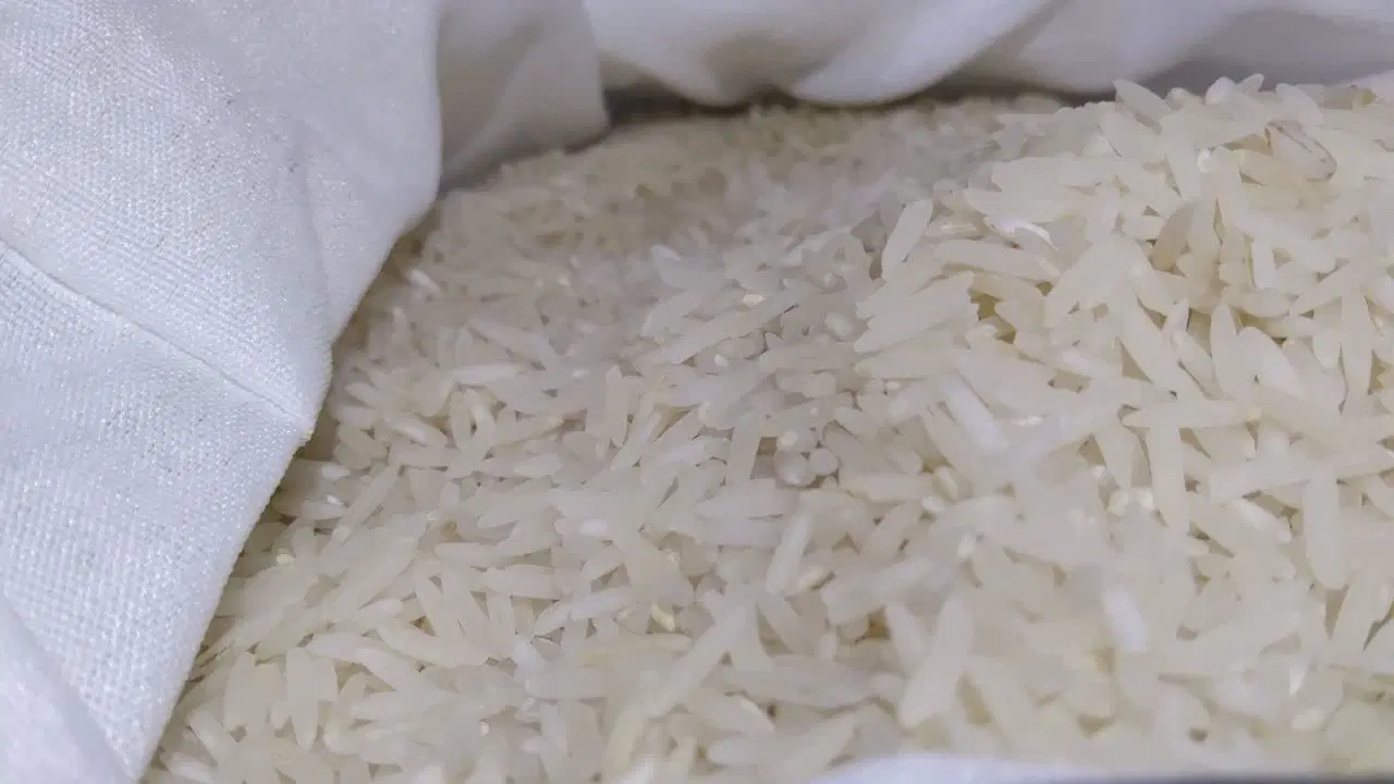 برنج|خوردنی و آشامیدنی|مشهد, نوید|دیوار
