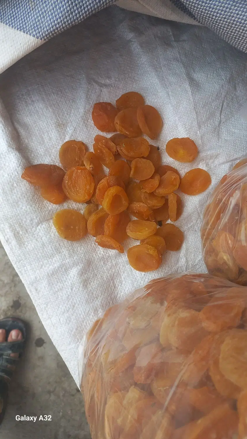 قیسی|خوردنی و آشامیدنی|ملکان, |دیوار