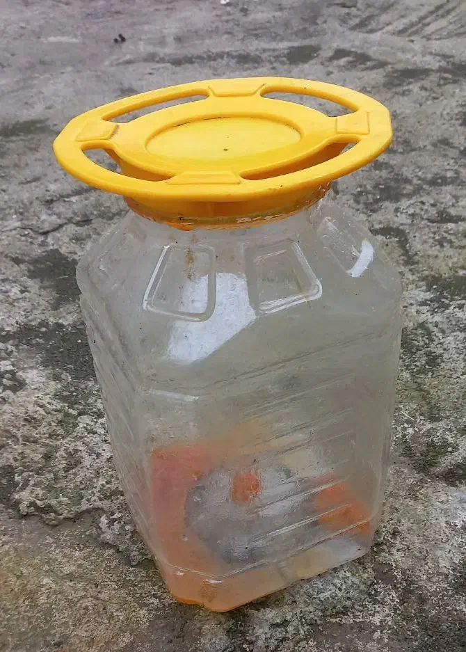 ظرف|ظروف نگهدارنده، پلاستیکی، یکبارمصرف|رشت, حومه رشت|دیوار