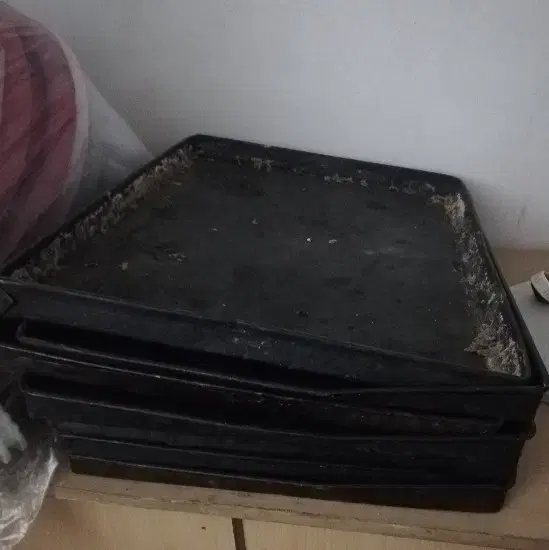 دیس 40*60|ظروف پخت‌وپز|تبریز, |دیوار