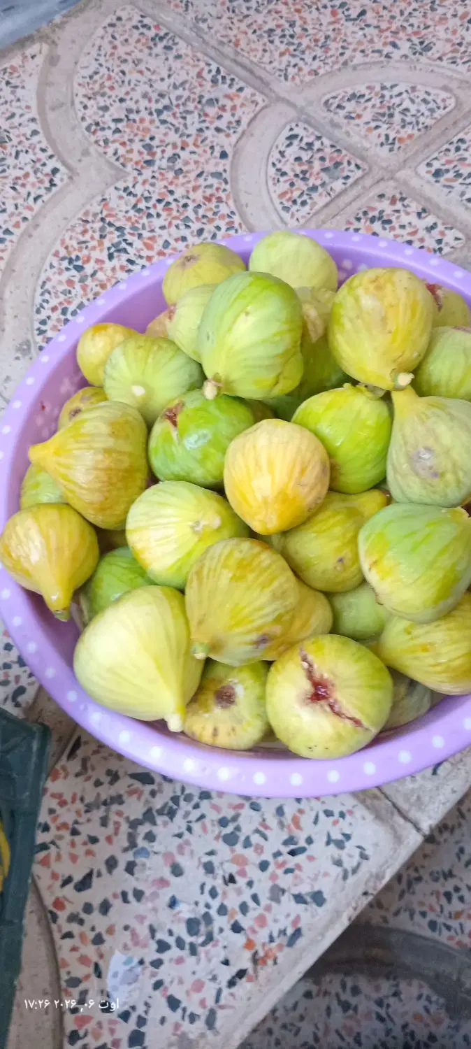 انجیر|خوردنی و آشامیدنی|پارسآباد, |دیوار