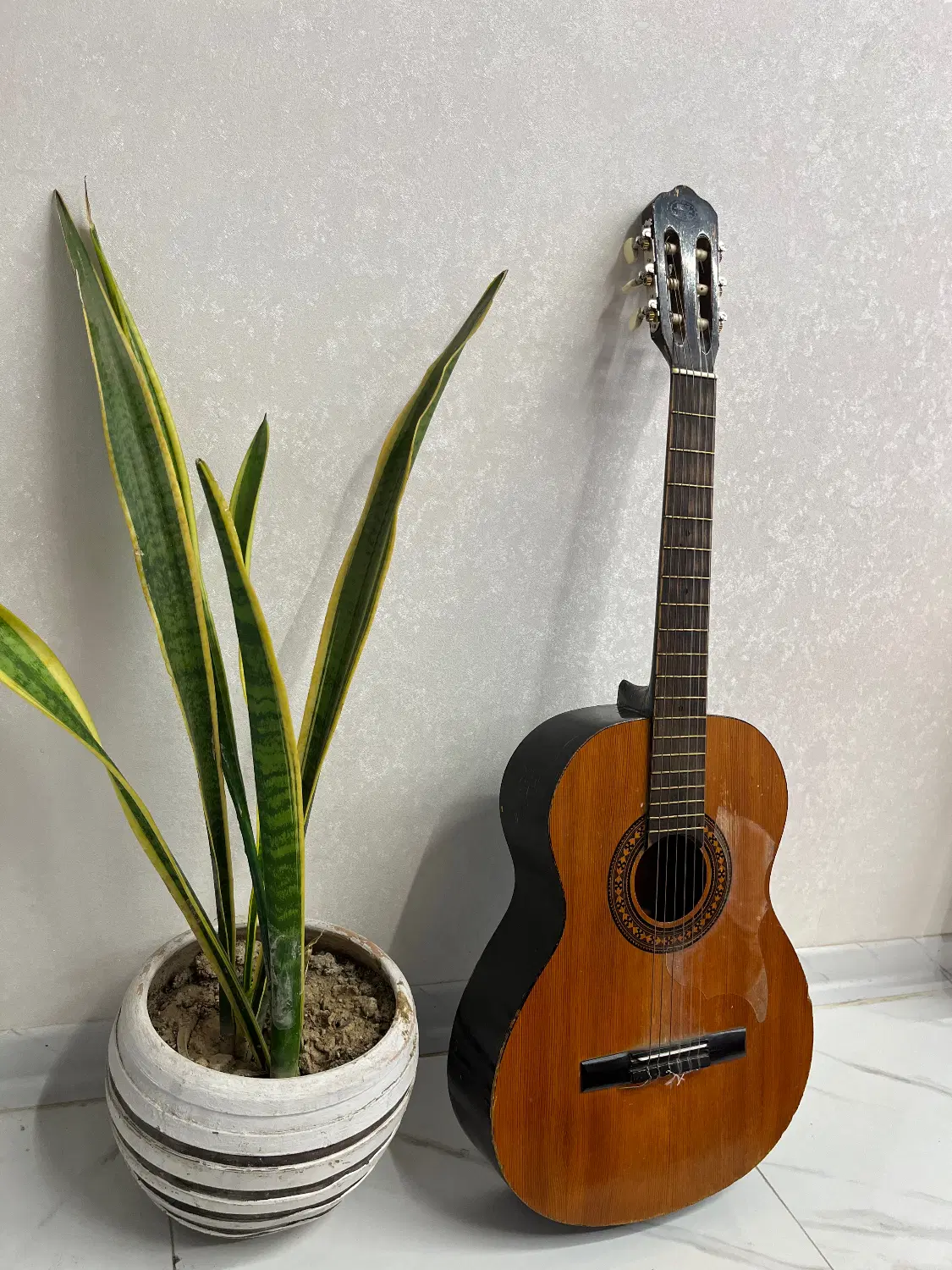 The spanish handmade guitar|گیتار، بیس، امپلیفایر|تهران, وردآورد|دیوار