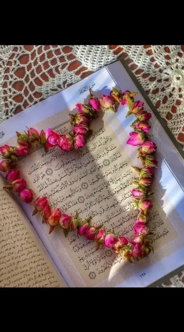 سرکتاب|کتاب و مجله مذهبی|مشهد, ایثار|دیوار