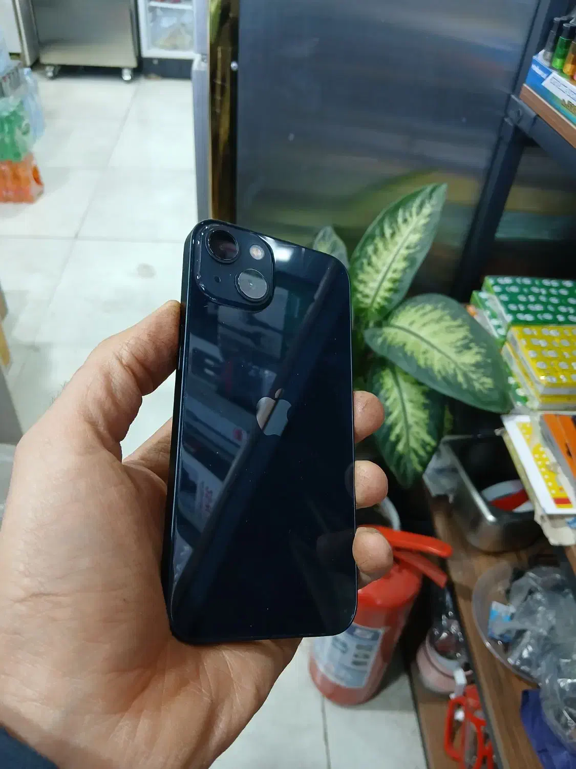 ایفون 13|موبایل|یزد, |دیوار