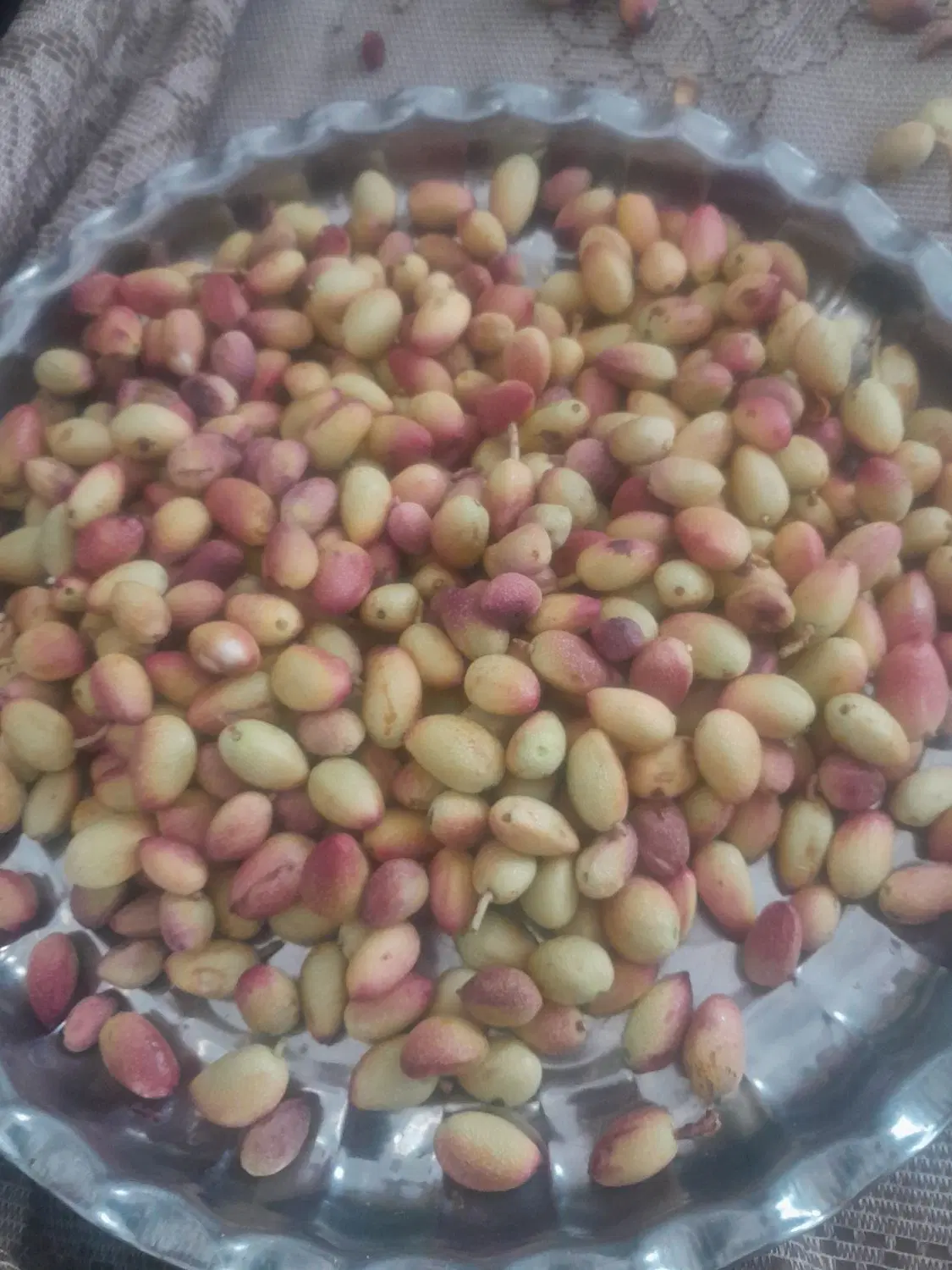پسته|خوردنی و آشامیدنی|مشهد, موعود|دیوار