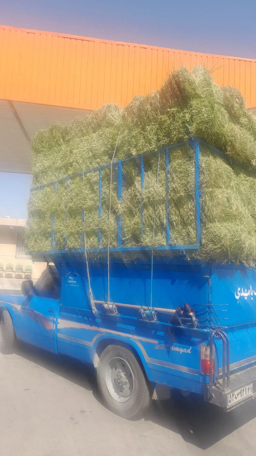 یونجه|لوازم جانبی حیوانات|کوهدشت, |دیوار