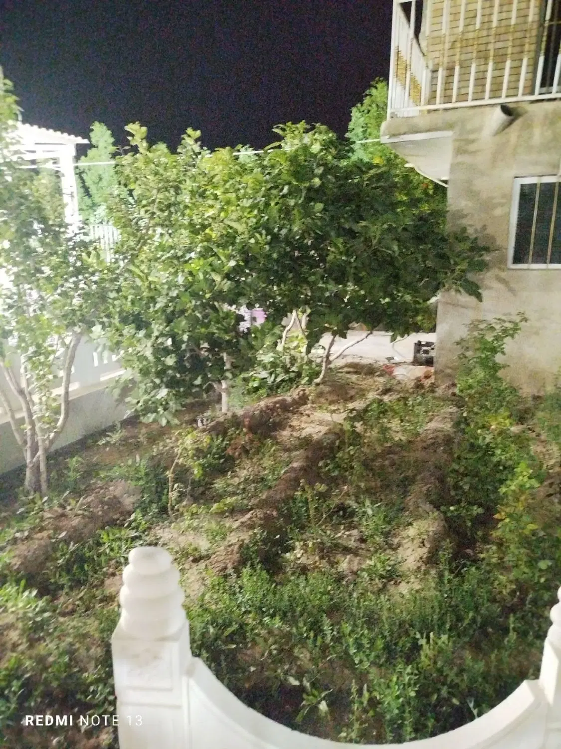 تصویر 16