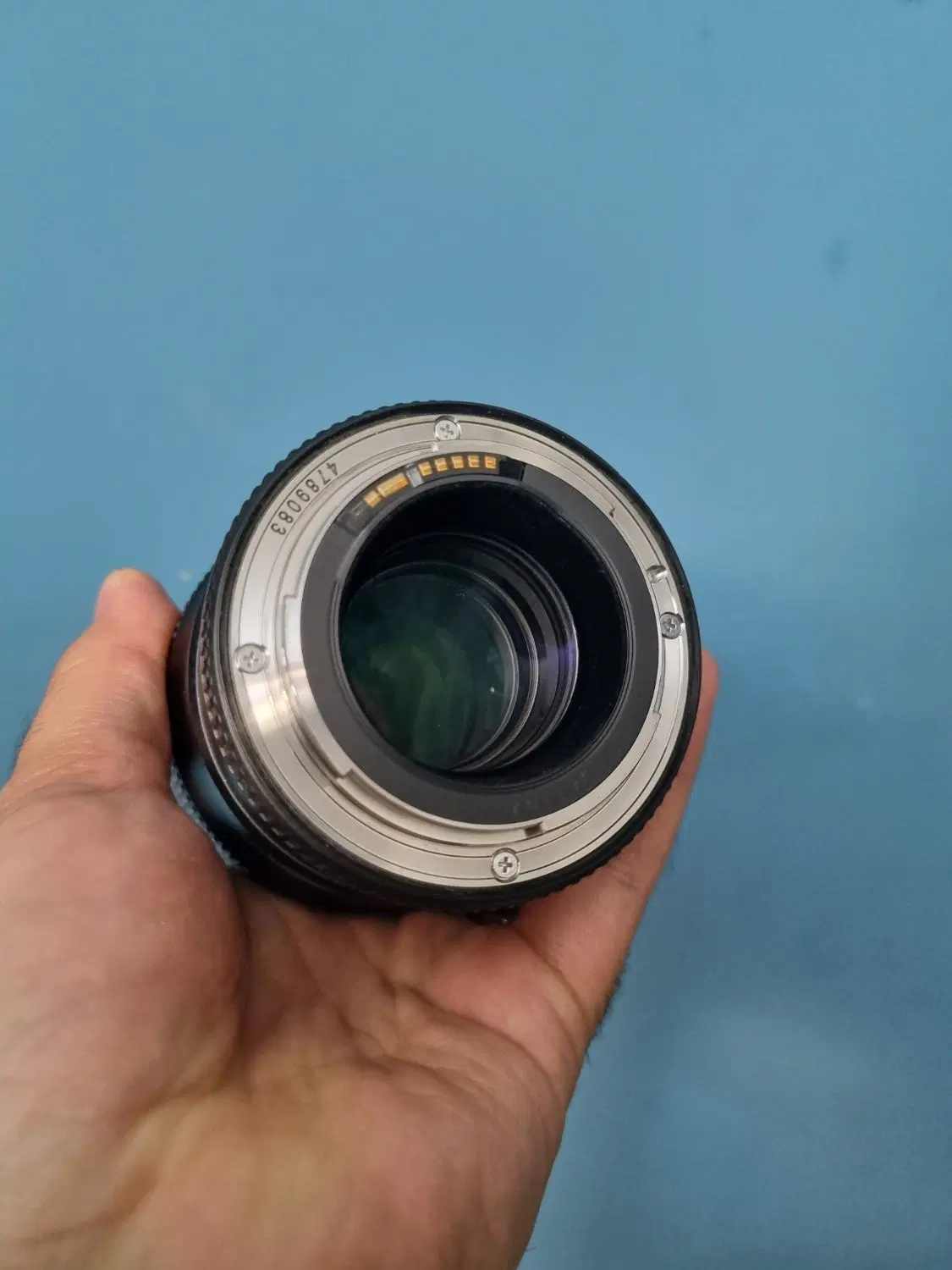 100mm f/2.8L Macro IS USM|دوربین عکاسی و فیلمبرداری|رشت, دیلمان|دیوار