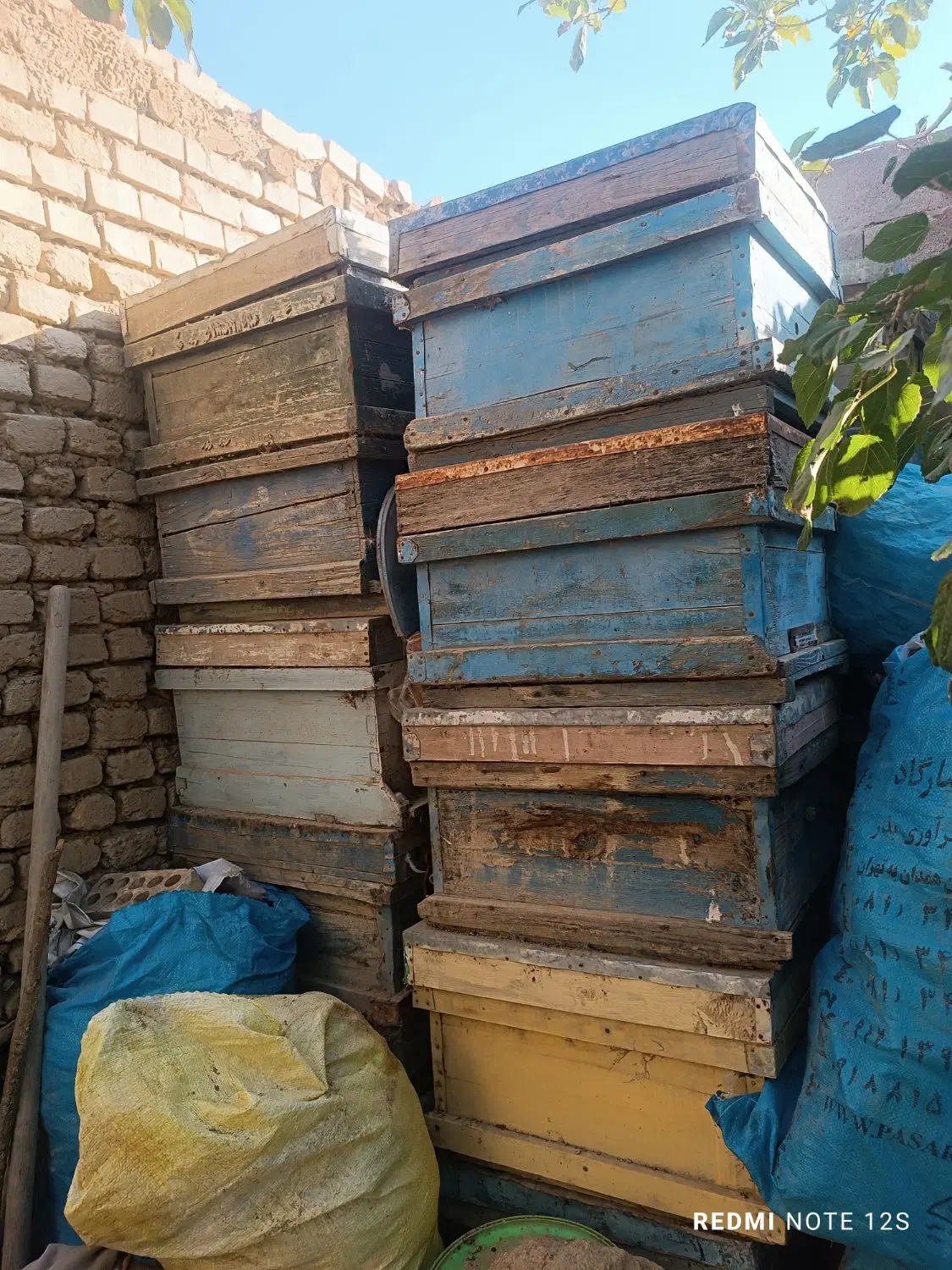 کندو|حیوانات مزرعه|کبودرآهنگ, |دیوار