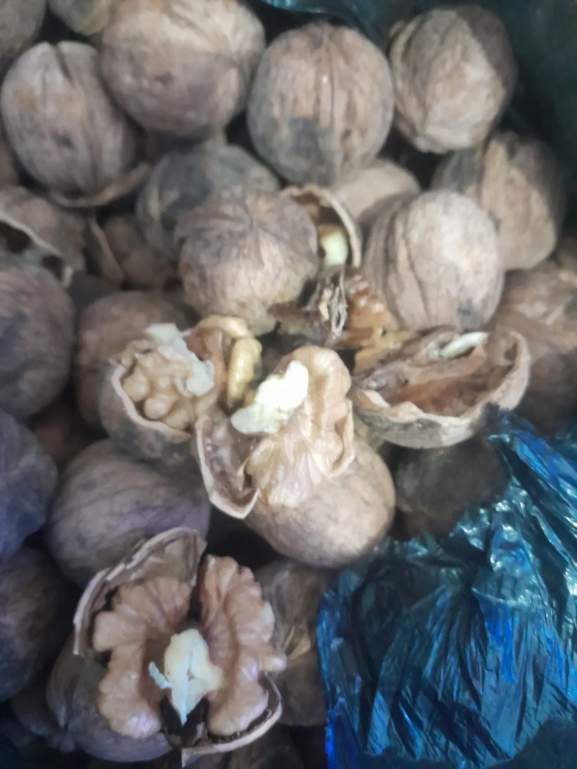 گدو|خوردنی و آشامیدنی|آذرشهر, |دیوار