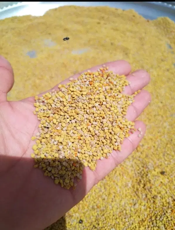 گرده گل|خوردنی و آشامیدنی|شیراز, هفت تنان|دیوار