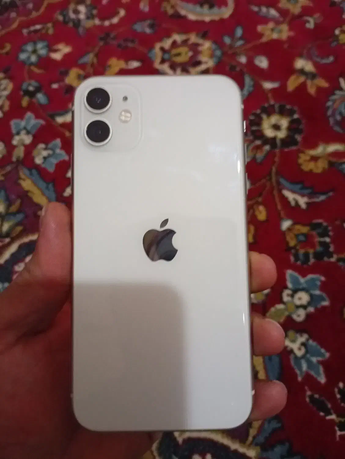 iphoneh 11 normal|موبایل|بناب, |دیوار