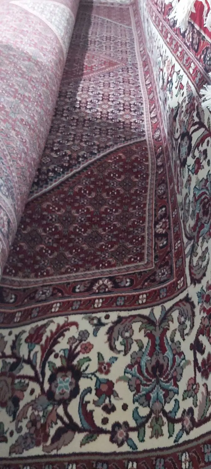 فرش|فرش|زنجان, |دیوار