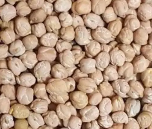 نخود|خوردنی و آشامیدنی|الشتر, |دیوار
