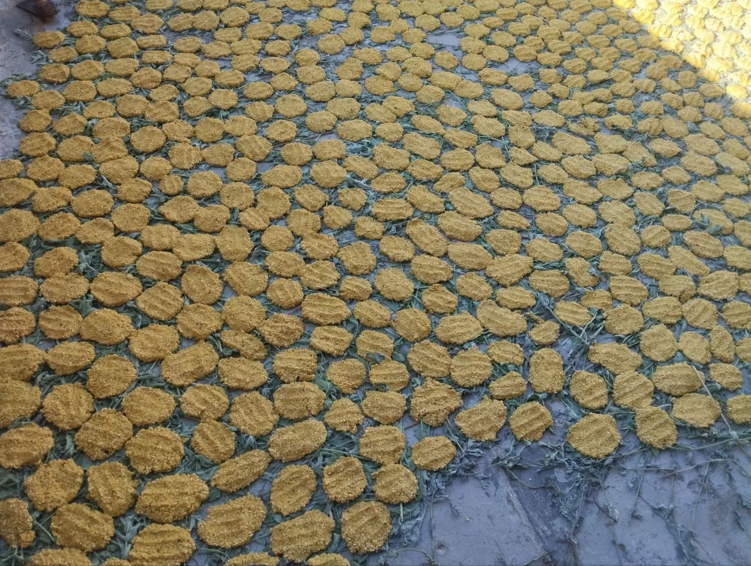 ترخینه|خوردنی و آشامیدنی|کارزان, |دیوار