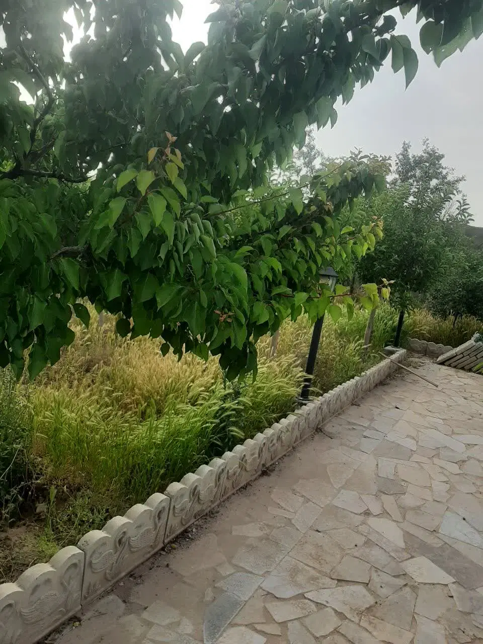 تصویر 16