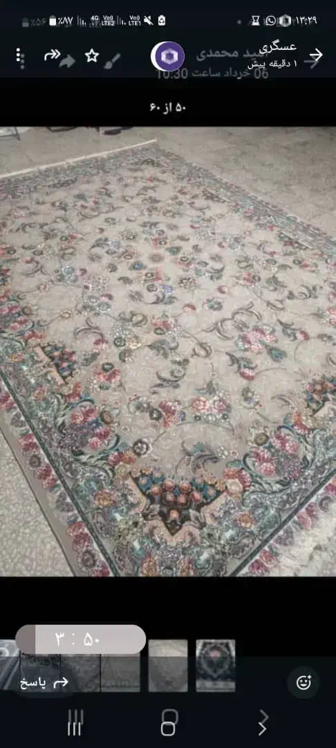 سفارت|فرش|کرج, باغستان|دیوار