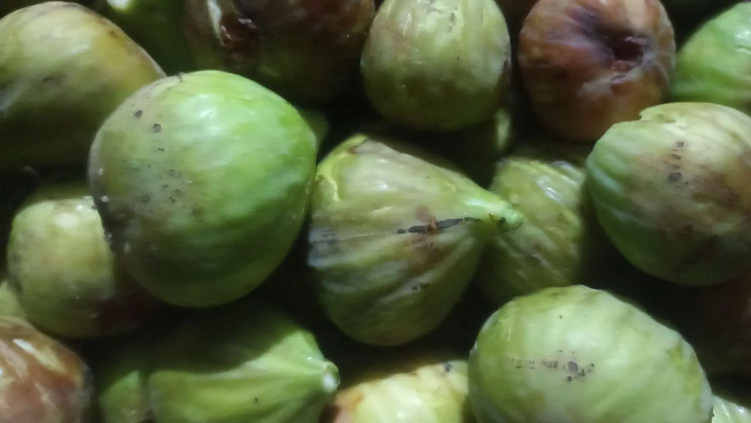 انجیر|خوردنی و آشامیدنی|سنگدوین, |دیوار